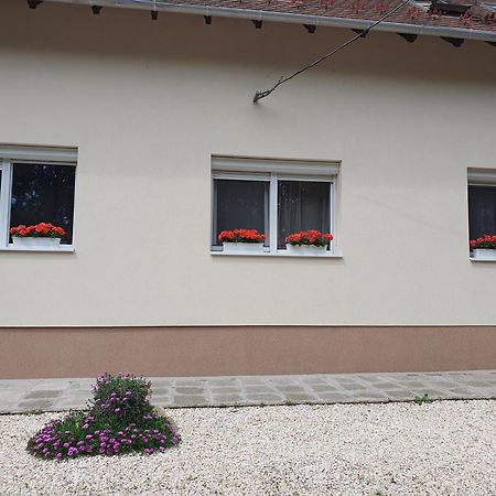 Bella Apartman Szeged Kültér fotó