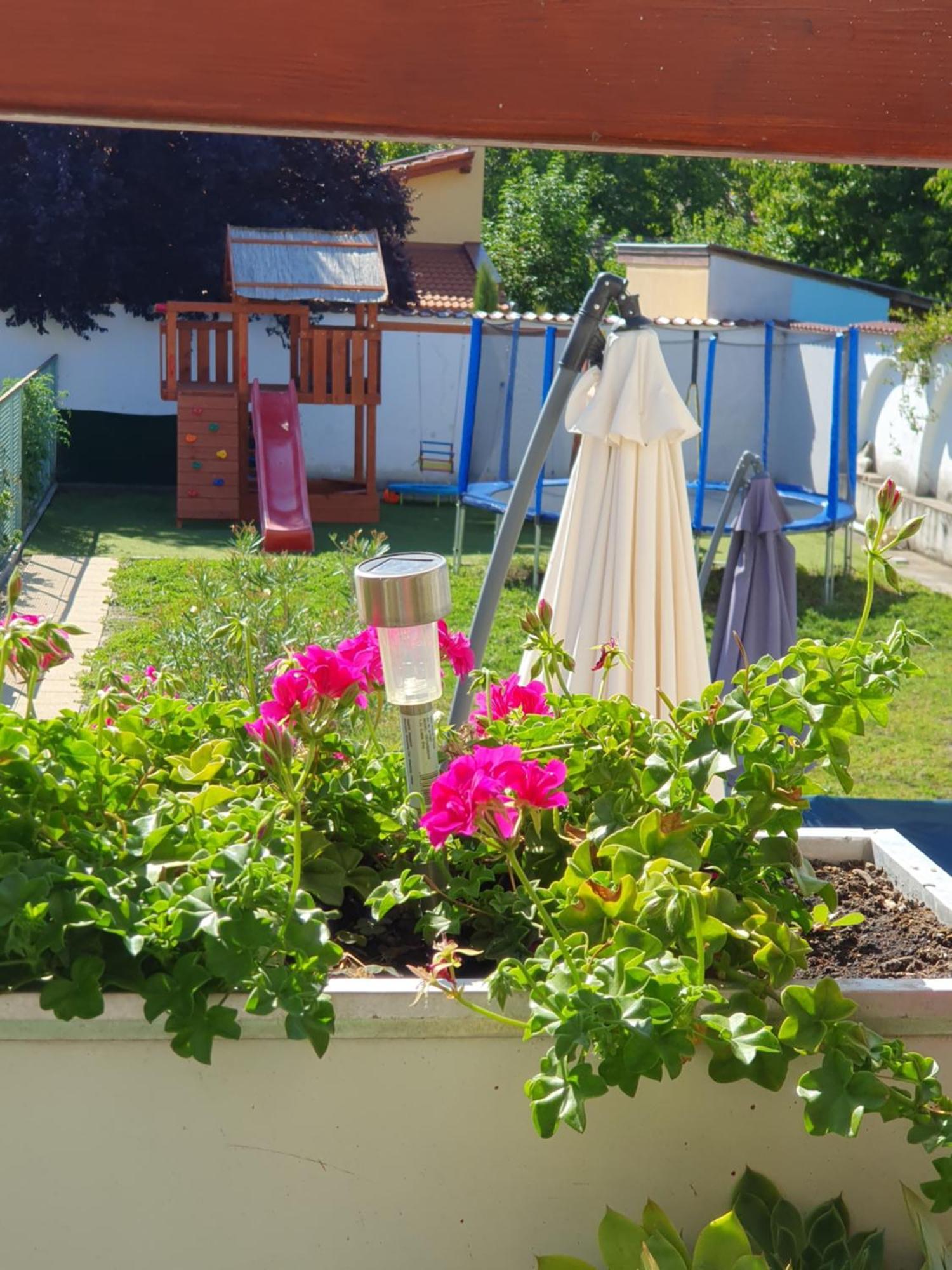 Bella Apartman Szeged Kültér fotó